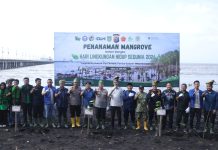 Kapolda Riau Pimpin Penanaman Mangrove di Dumai, Perkuat Komitmen Polri dalam Pelestarian Lingkungan