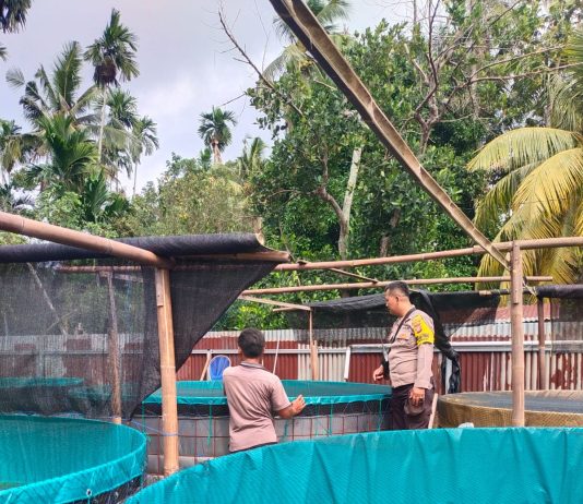 Bhabinkamtibmas Kelurahan Purnama Tinjau Pekarangan Pangan Bergizi, Dukung Ketahanan Pangan Nasional