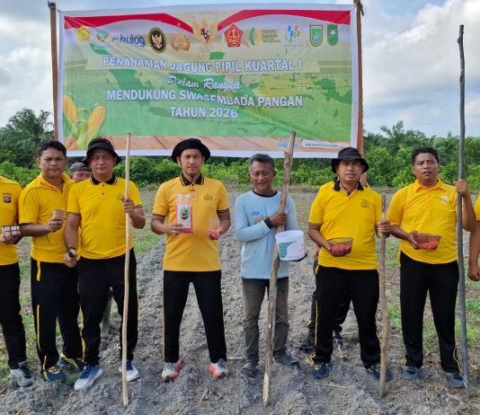Dukung Ketahanan Pangan Nasional, Polsek Bukit Kapur Tanam Jagung di Lahan 1,5 Hektare