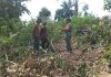 Babinsa Bukit Nenas Tingkatkan Patroli Karhutla, Warga Diajak Aktif Cegah Kebakaran Lahan