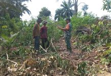Babinsa Bukit Nenas Tingkatkan Patroli Karhutla, Warga Diajak Aktif Cegah Kebakaran Lahan