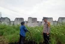 Harumkan Nama Dumai, Bhabinkamtibmas Polsek Bukit Kapur Aktif Dukung Ketahanan Pangan Nasional Melalui Pengecekan Pekarangan Bergizi