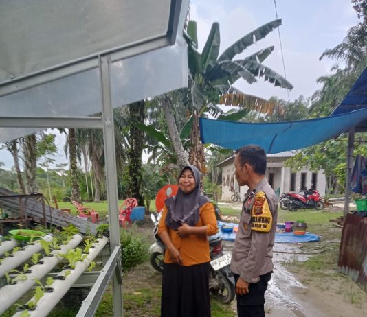 Sinergi Polisi dan Petani Perkuat Ketahanan Pangan di Kecamatan Bukit Kapur