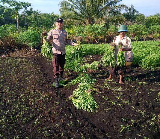 Bhabinkamtibmas Kelurahan Bagan Keladi Bersama Petani Cek Pekarangan Pangan Bergizi Dukung Ketahanan Pangan Nasional