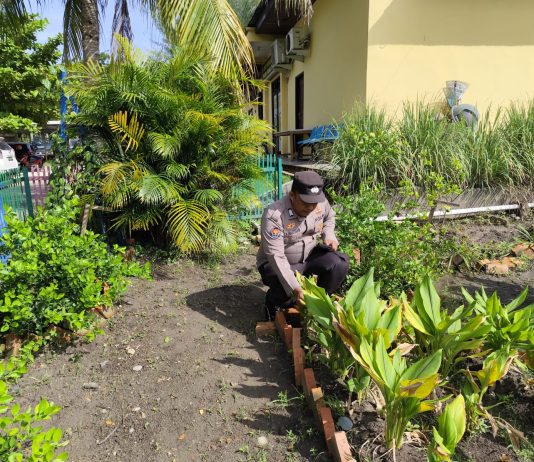 Personel Polsek Dumai Timur Cek Pekarangan Serai, Dukung Program Ketahanan Pangan Nasional