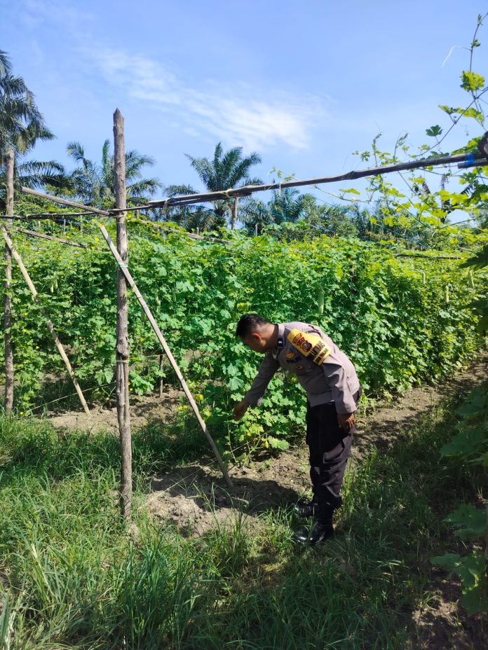 IMG-20260615-WA0108(1)