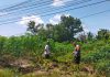 Bhabinkamtibmas Teluk Binjai Bersama Petani Cek Pekarangan Pangan Bergizi Dukung Ketahanan Pangan Nasional