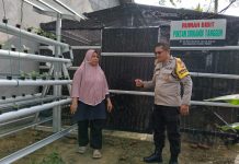 Bhabinkamtibmas Teluk Binjai dan Petani Lakukan Pengecekan Pakcoy, Dukung Program Ketahanan Pangan Nasional