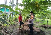 Bhabinkamtibmas Ratu Sima Bersama Petani Cek Pekarangan Pangan Bergizi, Dukung Ketahanan Pangan Nasional