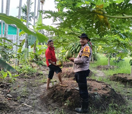 Bhabinkamtibmas Ratu Sima Bersama Petani Cek Pekarangan Pangan Bergizi, Dukung Ketahanan Pangan Nasional