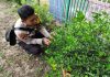 Bhabinkamtibmas Tanjung Palas Bersama Petani Cek Pekarangan Pangan Bergizi, Dukung Ketahanan Pangan Nasional