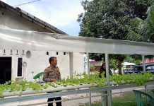 Bhabinkamtibmas Bagan Besar Timur Monitoring Pekarangan Pangan Bergizi, Tanaman Selada Tumbuh Subur