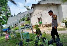 Bhabinkamtibmas Bagan Besar Timur Cek Pekarangan Pangan Bergizi, Dukung Ketahanan Pangan Nasional