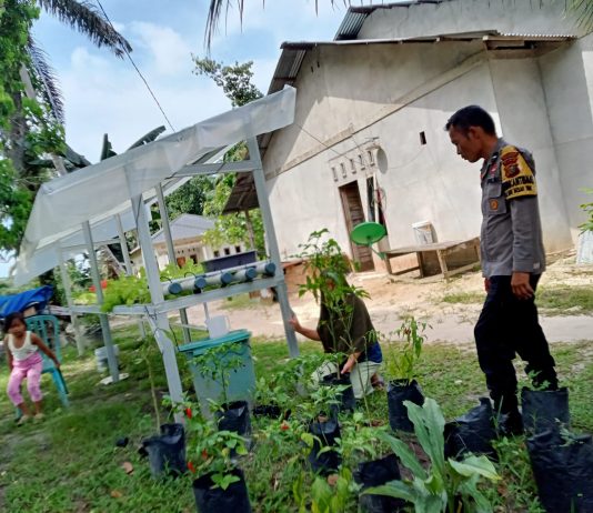 Bhabinkamtibmas Bagan Besar Timur Cek Pekarangan Pangan Bergizi, Dukung Ketahanan Pangan Nasional
