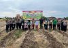 Polres Dumai Dukung Ketahanan Pangan, Polsek Dumai Kota Tanam Jagung Pipil di Lahan Seluas 1 Hektar