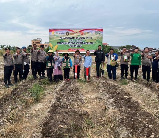 Polres Dumai Dukung Ketahanan Pangan, Polsek Dumai Kota Tanam Jagung Pipil di Lahan Seluas 1 Hektar