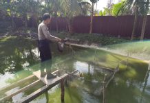 Dukung Ketahanan Pangan Nasional, Panit Samapta Polsek Dumai Timur Cek Budidaya Lele dan Nila Bersama Petani