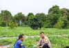 Bhabinkamtibmas Bukit Timah Cek Kebun Semangka Warga, Dukung Program Ketahanan Pangan Nasional