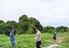 Polres Dumai Dukung Ketahanan Pangan Nasional, Bhabinkamtibmas Bukit Timah Tinjau Kebun Semangka