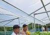 Bhabinkamtibmas Bumi Ayu Bersama Karang Taruna Cek Pekarangan Pangan Bergizi Dukung Ketahanan Pangan Nasional