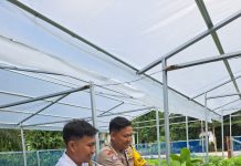 Bhabinkamtibmas Bumi Ayu Bersama Karang Taruna Cek Pekarangan Pangan Bergizi Dukung Ketahanan Pangan Nasional