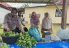 Personil Polsek Dumai Timur Bersama Petani Cek Tanaman Pak Coy Dukung Program Ketahanan Pangan Nasional