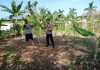 BHABINKAMTIBMAS KEL. STDI CEK PEKARANGAN PANGAN BERGIZI BERSAMA PETANI DUKUNG PROGRAM KETAHANAN PANGAN NASIONAL
