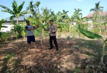 BHABINKAMTIBMAS KEL. STDI CEK PEKARANGAN PANGAN BERGIZI BERSAMA PETANI DUKUNG PROGRAM KETAHANAN PANGAN NASIONAL