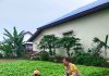 AIPDA Hendra Saputra Bersama Petani Cek Pekarangan Pangan Bergizi untuk Dukung Ketahanan Pangan Nasional