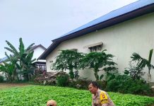 AIPDA Hendra Saputra Bersama Petani Cek Pekarangan Pangan Bergizi untuk Dukung Ketahanan Pangan Nasional