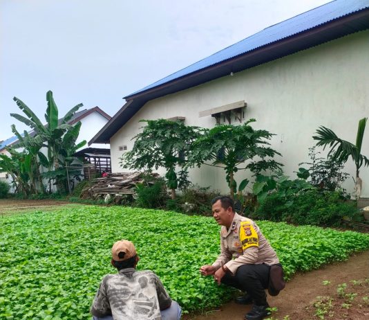 AIPDA Hendra Saputra Bersama Petani Cek Pekarangan Pangan Bergizi untuk Dukung Ketahanan Pangan Nasional