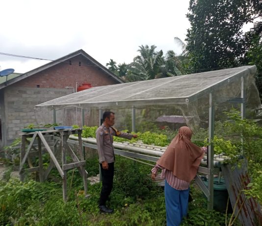 Bhabinkamtibmas Kelurahan Bagan Besar Timur Bersama Petani Cek Pekarangan Pangan Bergizi Dukung Ketahanan Pangan Nasional