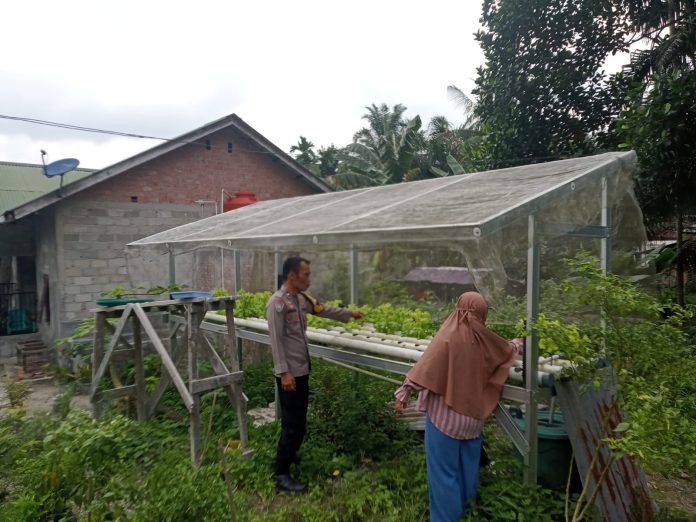 IMG-20260624-WA0173