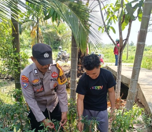Bhabinkamtibmas Ratu Sima Bersama Petani Cek Pekarangan Pangan Bergizi, Dukung Ketahanan Pangan Nasional