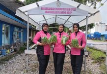 Bhayangkari Polsek Kawasan Pelabuhan Dumai Semai 260 Bibit Pakcoy Hidroponik, Dukung Ketahanan Pangan Nasional