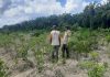 Bhabinkamtibmas Sungai Sembilan Cek Pekarangan Pangan Bergizi, Dukung Program Ketahanan Pangan Nasional