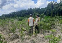 Bhabinkamtibmas Sungai Sembilan Cek Pekarangan Pangan Bergizi, Dukung Program Ketahanan Pangan Nasional