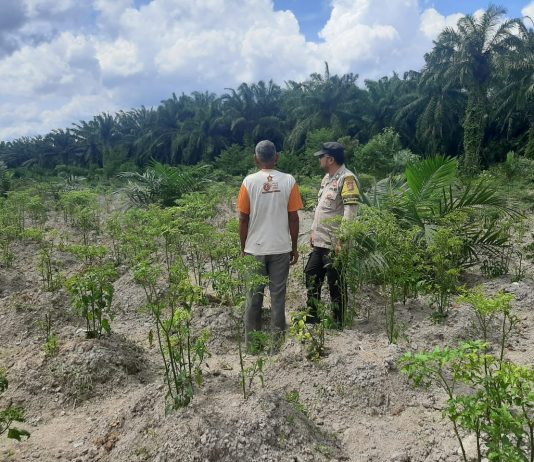 Bhabinkamtibmas Sungai Sembilan Cek Pekarangan Pangan Bergizi, Dukung Program Ketahanan Pangan Nasional