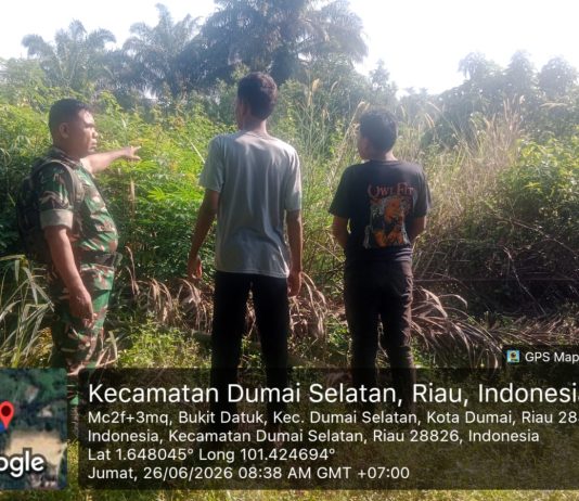 Babinsa Koramil 01/Dumai Laksanakan Patroli Karhutla, Sosialisasi Banjir dan Dampingi Budidaya Cabai di Bukit Datuk