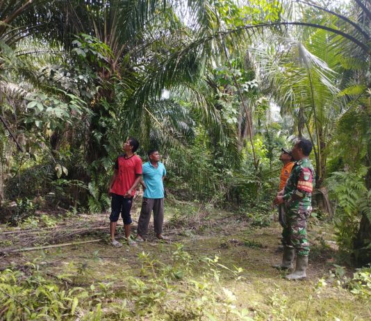 Babinsa Guntung Hadiri Silaturahmi dan Rapat Kerja PKK-Posyandu, Perkuat Sinergi Pemberdayaan Masyarakat