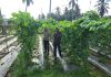 Bhabinkamtibmas Bumi Ayu Bersama Petani Cek Pekarangan Pangan Bergizi, Dukung Ketahanan Pangan Nasional
