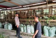 Bhabinkamtibmas Bagan Keladi Bersama Petani Tinjau Pekarangan Pangan Bergizi Dukung Ketahanan Pangan Nasional