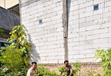 Bhabinkamtibmas Bukit Timah Cek Pekarangan Pangan Bergizi, Dukung Program Ketahanan Pangan Nasional