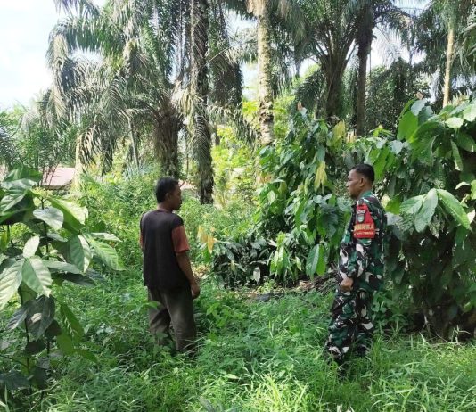 Babinsa Koramil 03/Sungai Sembilan Intensifkan Patroli dan Sosialisasi Cegah Karhutla di Batu Teritip