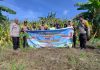 Kapolsek Dumai Timur Pimpin Panen Raya Jagung Pipil, Hasilkan Sekitar 1 Ton untuk Dukung Swasembada Pangan 2026