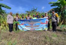 Kapolsek Dumai Timur Pimpin Panen Raya Jagung Pipil, Hasilkan Sekitar 1 Ton untuk Dukung Swasembada Pangan 2026