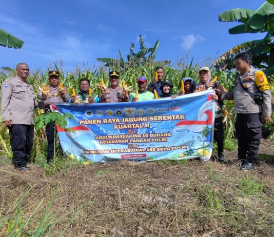 Kapolsek Dumai Timur Pimpin Panen Raya Jagung Pipil, Hasilkan Sekitar 1 Ton untuk Dukung Swasembada Pangan 2026