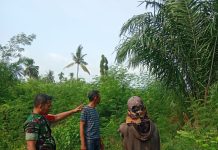 Babinsa Koramil 01/Dumai Padukan Patroli Karhutla, Sosialisasi Cegah Banjir dan Pendampingan Peternakan Bebek