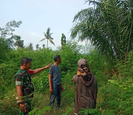 Babinsa Koramil 01/Dumai Padukan Patroli Karhutla, Sosialisasi Cegah Banjir dan Pendampingan Peternakan Bebek
