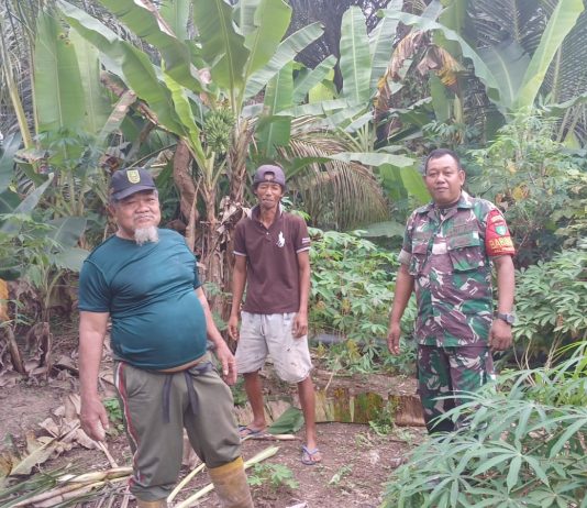 Babinsa Pelintung Gencarkan Patroli dan Sosialisasi Karhutla, Pastikan Wilayah Bebas Titik Api